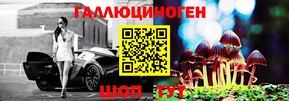 Галлюциногенные грибы Psilocybe  купить наркотик  Псилоцибиновые грибы Psilocybe  Керчь  Вход с VPN 